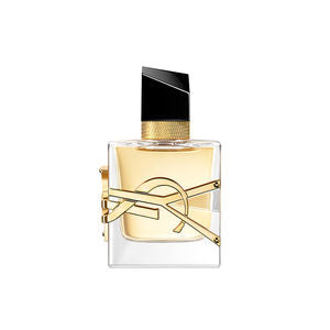 Mini Yves Saint Laurent Libre